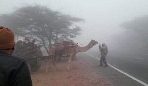 राजस्थान में शीत लहर से बढ़ी सर्दी और गलन, कई जिलों का तापमान पहुंचा जमाव बिंदु पर