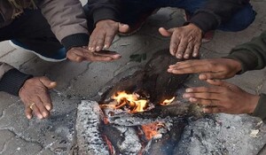 उत्तर भारत में शीतलहर जारी : डलहौजी, देहरादून और नैनीताल से ज्यादा सर्द रही दिल्ली
