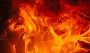 Maharashtra: नवी मुंबई में एक फैक्टरी में आग लगने से एक महिला की मौत