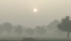 Rajasthan Weather : राजस्थान के कुछ हिस्सों में शीतलहर जारी, घना कोहरा छाया