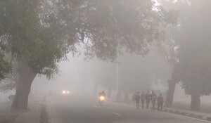 Weather Update: पंजाब और हरियाणा में कड़ाके की ठंड, घने कोहरे के कारण दृश्यता में भी गिरावट दर्ज