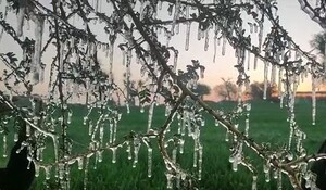 Rajasthan Weather: राजस्थान में सर्दी का टॉर्चर, फतेहपुर में पारा शून्य से 4.5 डिग्री नीचे; 19 जनवरी से मिलेगी राहत