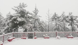 Kashmir Snowfall: हिमपात के चलते कश्मीर के ऊंचाई वाले इलाकों में बर्फबारी, IMD ने बारिश की जताई संभावना