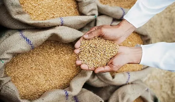 राजस्थान के किसानों के लिए अच्छी खबर, 10 मार्च से शुरू होगी समर्थन मूल्य पर गेहूं की खरीद