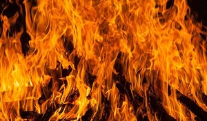 Maharashtra: ठाणे में ऑटोमोबाइल गैराज में आग लगने से 12 कारें जलीं