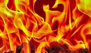 Maharashtra: पालघर में बिजली गिरने से लगी भीषण आग, चारे के गट्ठर जलकर खाक
