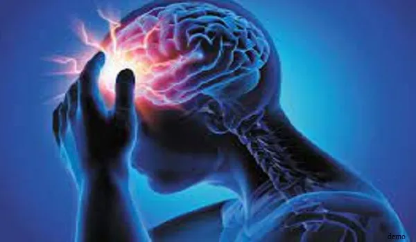 मस्तिष्क के दो हिस्सों में बने तंत्रिका संयोजनों के बीच समन्वय के अभाव से जाती है याददाश्त