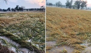Rajasthan Weather Update: आज इन जिलों में बारिश-ओले की संभावना, तबाही वाली बारिश ने बढ़ाई किसानों की परेशानी