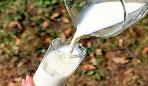 IIT-Madras के आविष्कार से 30 सेकंड में दूध में मिलावट की हो सकती है पहचान
