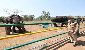 प्रधानमंत्री मोदी ने तमिलनाडु में हाथी शिविर का किया दौरा, हाथी के बच्चों के साथ की अपनी तस्वीरें साझा