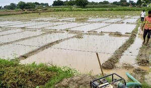 बेमौसम वर्षा से पांच जिलों में 7400 हेक्टेयर से अधिक में फसल को नुकसान- Devendra Fadnavis