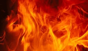 Maharashtra: नागपुर जिले में फैक्टरी में आग लगने से 3 लोग झुलसे