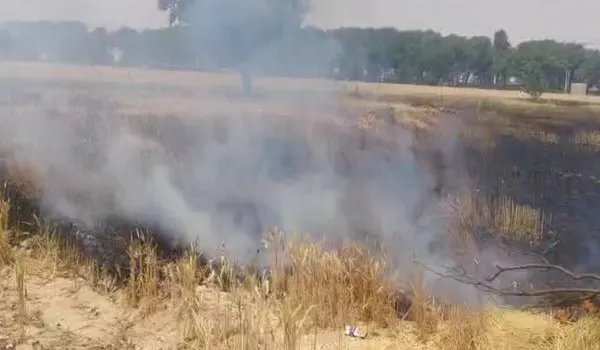 गेहूं के खेत में लगी भीषण आग, फसल जलने से लाखों के नुकसान की आशंका