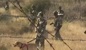 Barmer News: भारत-पाक सीमा पर BSF की बड़ी कार्रवाई, तारबंदी पार कर घुसपैठ कर रहे दो पाकिस्तानियों को किया ढेर