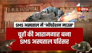 VIDEO: SMS में ऑपरेशन माउस, चूहों के आतंक से परेशान एसएमएस अस्पताल प्रशासन, देखिए ये खास रिपोर्ट