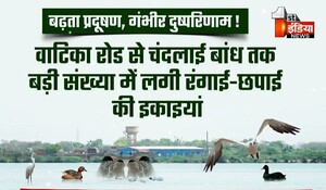 Jaipur News: चंदलाई झील के अस्तित्व को खत्म करने की तैयारी, बढ़ते रासायनिक प्रदूषण से संकट में आया अस्तित्व; जानिए किस वजह से लग रहा ग्रहण