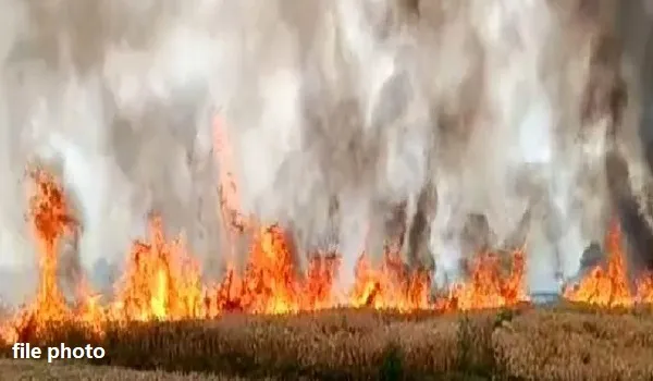 कृषि फार्म पर बिजली की लाइन गिरने से लगी भीषण आग, कृषि फार्म पर निवास कर रहे लोगों को हुआ भारी नुकसान