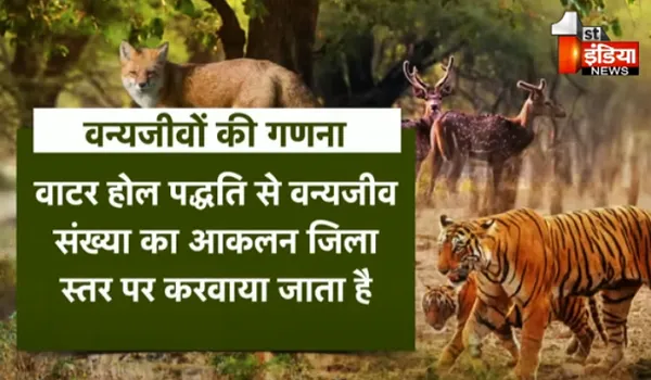 राजस्थान में 4 साल बाद हो रही वन्यजीवों की गणना, 23 और 24 मई को वाटर होल पद्धति से होगा संख्या आकलन