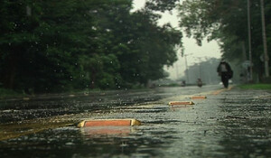 उत्तरी पश्चिम बंगाल में 13 जून तक भारी बारिश होने की संभावना, बिजली गिरने से दो लोगों की मौत