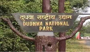 Uttar Pradesh: विश्व प्रसिद्ध दुधवा नेशनल पार्क पर्यटकों के लिए किया गया बंद