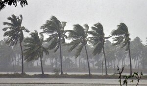 Cyclone Biparjoy: गुजरात में एक हजार घरों में बजली नहीं, पेड़ उखड़े ,मकान क्षतिग्रस्त