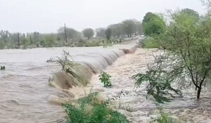 Biparjoy Cyclone in Rajasthan: आज इन जिलों में तांडव मचाएगा बिपरजॉय तूफान, जानें अब तक कहां कितनी हुई बारिश