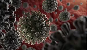 Corona virus: 36 और लोग हुए संक्रमित, मार्च 2020 के बाद नए मामलों की सबसे कम संख्या