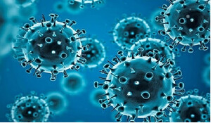 देश में कोरोना वायरस संक्रमण के उपचाराधीन मरीजों की संख्या घटकर हुई 1,579