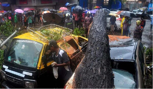 Mumbai और उसके उपनगरों में भारी बारिश, पेड़ गिरने से एक व्यक्ति की मौत