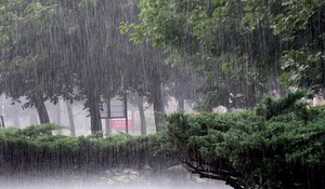 गुजरात में आफत बनी मूसलाधार बारिश ; पिछले दो दिन में नौ लोगों की मौत