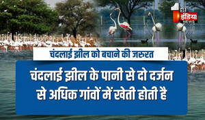 Jaipur News: खतरे में चंदलाई झील का अस्तित्व, सरकारी एजेंसियों की लापरवाही कर रही बर्बाद; जानिए झील को बचाना क्यों है जरूरी