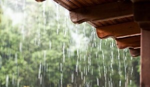 Monsoon Care Tips: ऐसे रहें बरसात के मौसम में स्वस्थ और सुरक्षित