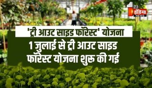 VIDEO: ग्रीन राजस्थान पेश करेगा नजीर, पौध वितरण में सीकर संभाग रहा अव्वल, देखिए ये खास रिपोर्ट