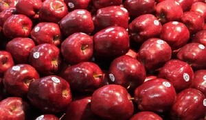 Washington apples पर 20% जवाबी शुल्क हटाएगा भारत