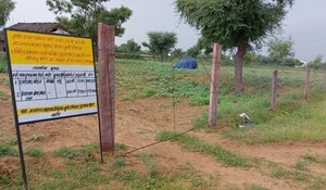 फसल सुरक्षा मिशनः कृषि विभाग की योजना उतर रही धरातल पर, आवारा पशुओं से फसलें बचाने में कारगर सिद्ध हो रही योजना