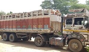 Jaisalmer News: वन विभाग ने अवैध शीशम व सफेदे की लकड़ी से भरा ट्रक को किया जब्त, साथ ही ट्रक ड्राइवर को लिया हिरासत में पूछताछ जारी