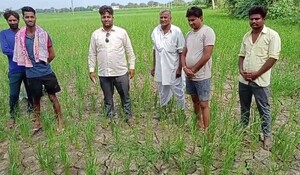 Bundi News: नमाना क्षेत्र में बनने लगे सूखे के आसार, बारिश नहीं होने से किसान परेशान