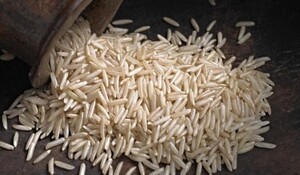 बंदरगाह पर फंसे हुए गैर-बासमती चावल के कार्गो को मिलेगी राहत, 31 अगस्त तक हो सकेंगे शिप