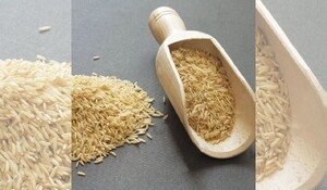 भारत ने बासमती चावल के निर्यात पर लगाया प्रतिबंध: सरकारी अधिसूचना