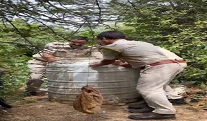 Sirohi News: हथकढ़ शराब के खिलाफ आबकारी विभाग की बड़ी कार्रवाई, 6 हजार लीटर वॉश की नष्ट