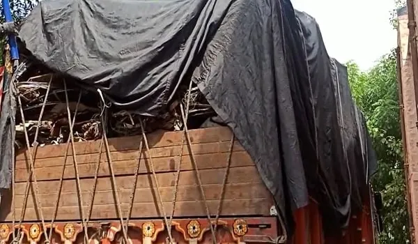 Nagaur: वाणिज्य कर विभाग की कार्रवाई, लोहे के स्क्रैप से भरे दो ट्रक जब्त 