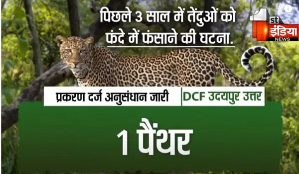 VIDEO: वन्यजीवों की सुरक्षा पर उठे सवाल! राजस्थान में चीता लाने के लिए मुहिम, जंगलों में फंदा लगाकर शिकार की बढ़ी घटनाएं 