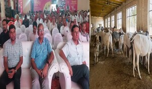 डीडवाना : मुख्यमंत्री कामधेनु बीमा योजना का हुआ शुभारंभ, जानें किसानों को मिलेंगे क्या-क्या लाभ