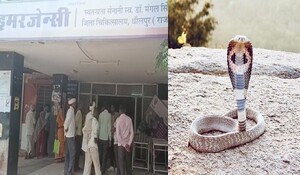 Dholpur News: घर में सो रही युवती को सांप ने काटा, अस्पताल ले जाते समय मौत