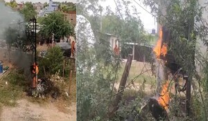Sawai Madhopur News: मलारना चौड़ में स्पार्किंग के बाद ट्रांसफार्मर में लगी आग, इलाके में मची अफरा तफरी, जिंदा जली भैंस
