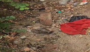 Hanumangarh News: निजी अस्पताल के पीछे खाली प्लॉट में मिला नवजात बच्चे का भ्रूण, फैली सनसनी
