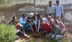 Dussehra 2022: रतनगढ़ में संभागीय आयुक्त के निर्देश पर विभिन्न कार्यालयों में लगाए खेजड़ी के पौधे