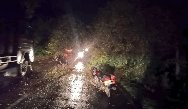 Uttar Pradesh: भारी बारिश से सड़क पर गिरे पेड़ से टकराई मोटरसाइकिल, दो युवकों की मौत