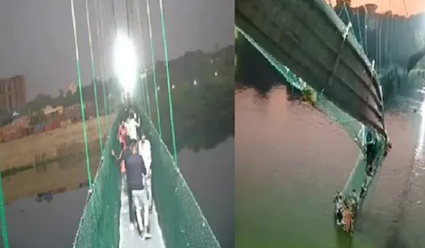 Gujarat Bridge Collapse:  मोरबी पुल दुर्घटना में सांसद मोहन कुंदरिया के 12 रिश्तेदारों की मौत