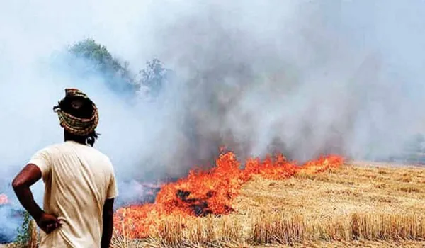 दिल्ली में वायु गुणवत्ता ‘गंभीर’ श्रेणी में, पंजाब में पराली जलाने के मामले बढ़े